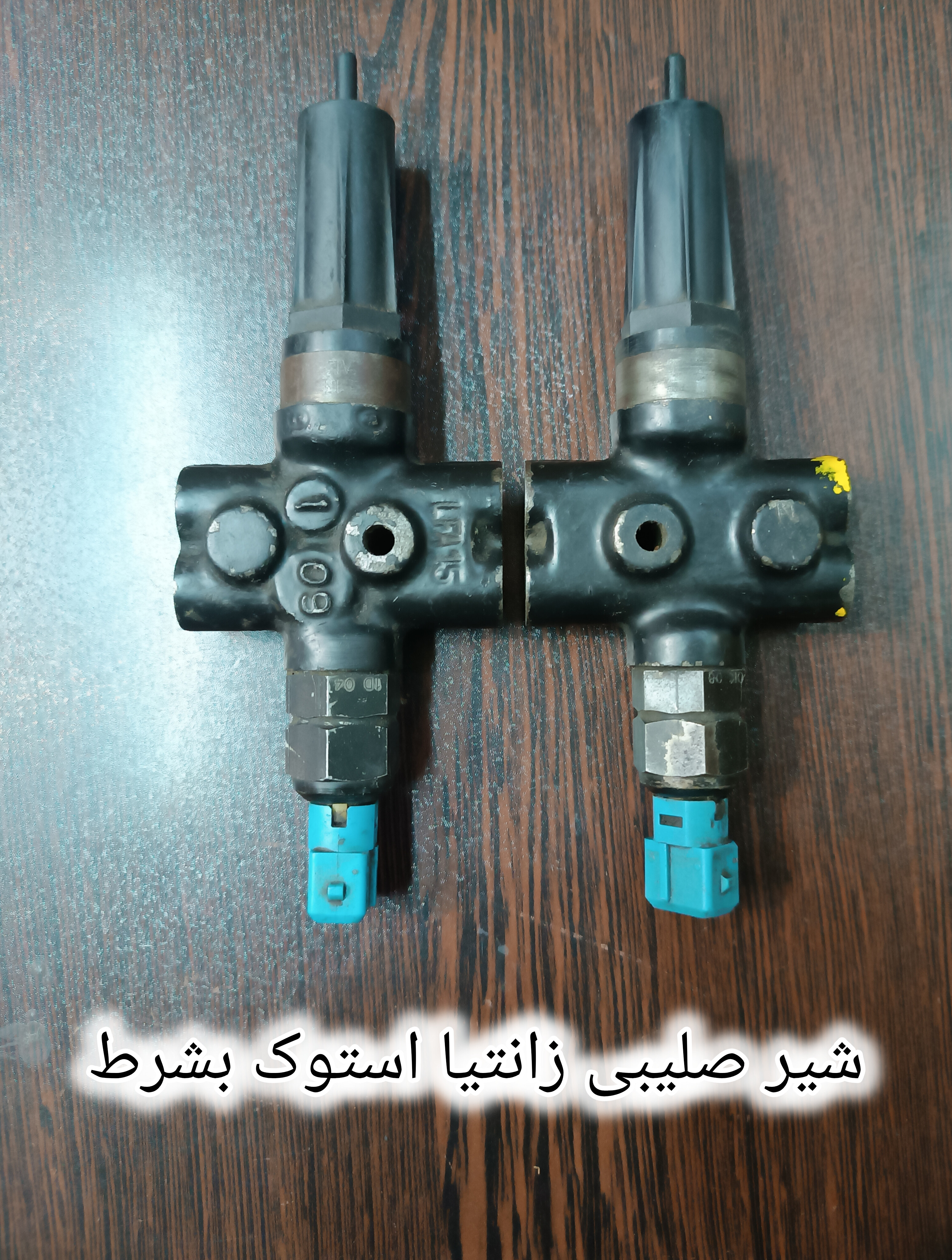 شیر صلیبی زانتیا استوک