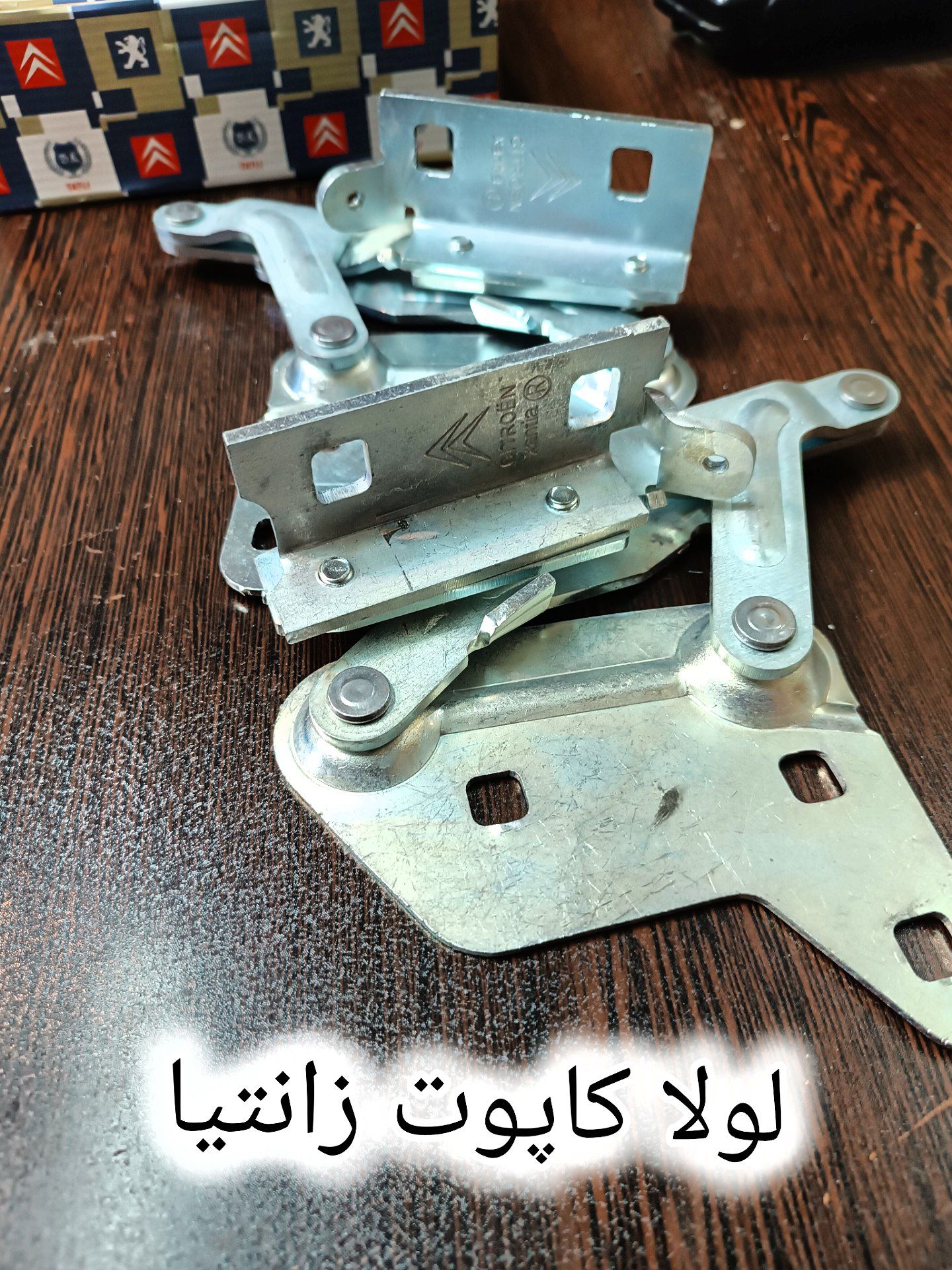 لولا کاپوت زانتیا (چپ و راست)