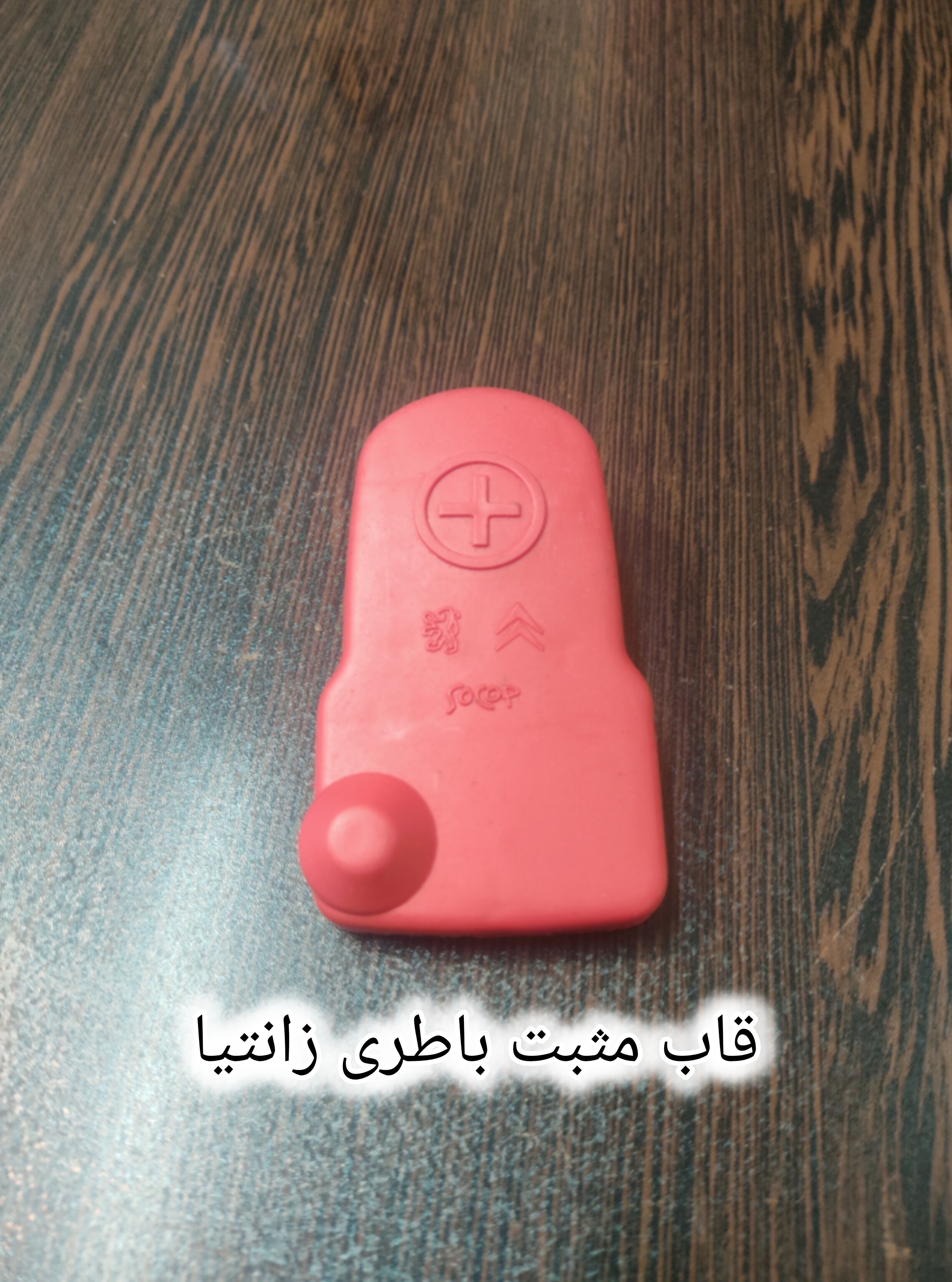 قاب مثبت باطری زانتیا