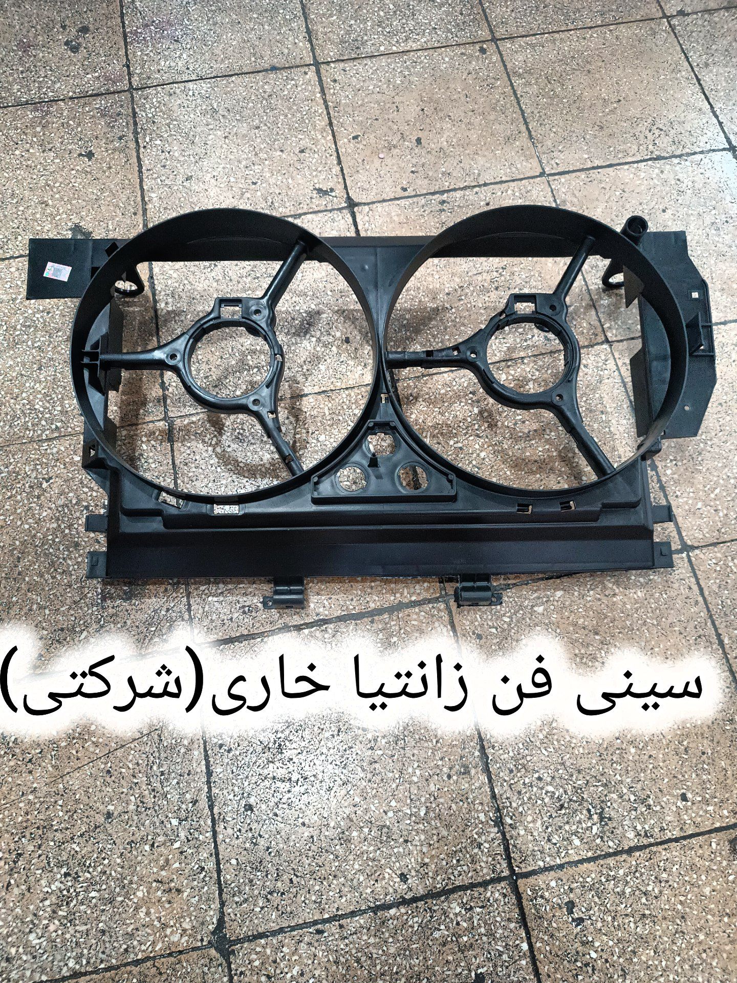 سینی فن زانتیا (خاری شرکتی)